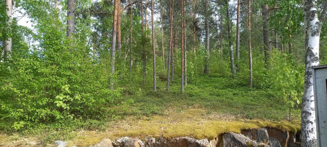 Saimaan Kodikas Lägenhet Nyslott Exteriör bild